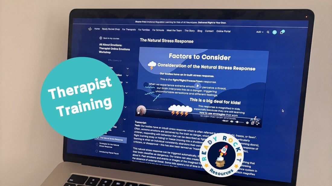 What Occupational Therapists Are Saying About the Ready Rocket Therapist PD - Part 2