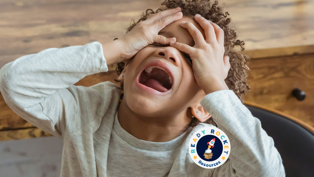 Understanding Dysregulation: Seeing Beyond "That Child is Being Difficult"