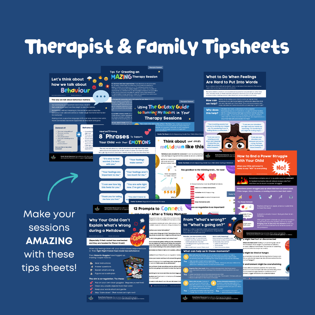 The Reframing Behaviour Therapist Pack