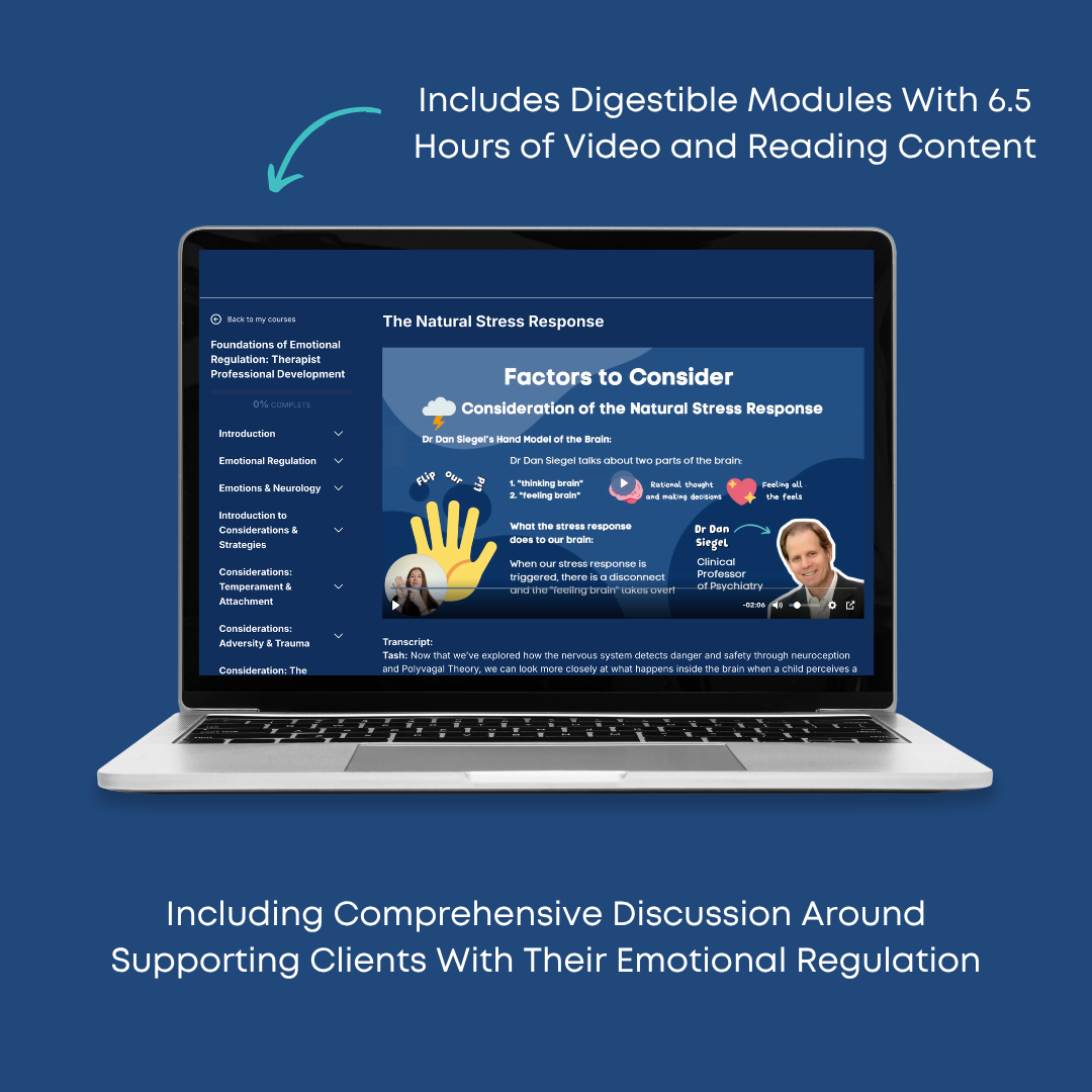 Foundations of Emotional Regulation: Therapist Professional Development Workshop | Ready Rocket Resources