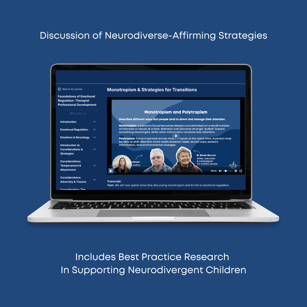 Foundations of Emotional Regulation: Therapist Professional Development Workshop | Ready Rocket Resources