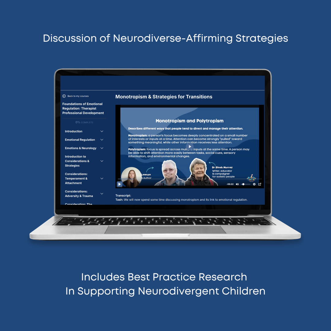 Foundations of Emotional Regulation: Therapist Professional Development Workshop | Ready Rocket Resources